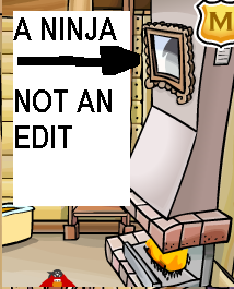 A ninja- not an edit!